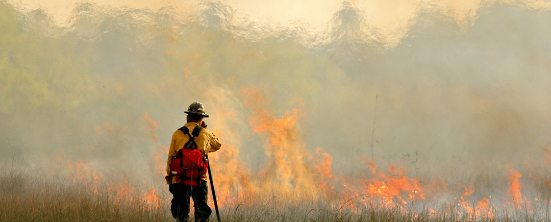 Is Your Wildland Fire Gear Up to Date?